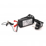 Зарядные устройства Merlion для LiFePO4 12V (14/6V)