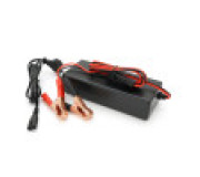 Зарядні пристрої Li-Ion 25,2V (6S)