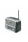 Радіоприймач GOLON RX-456S, LED, 3W, FM радіо, Входи microSD, USB, AUX, корпус пластмас, Black/Red, BOX