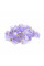 Конектор Noname RJ-45 8P8C UTP Cat-5 (100 шт / уп.) Q100 Violet
