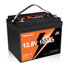 Акумуляторна батарея YEAGULCH Mini LiFePO4 12,8V 100Ah 1280Wh, BMS-100A, (  246 x 187 x 197) , M8, 12.9kg Q1