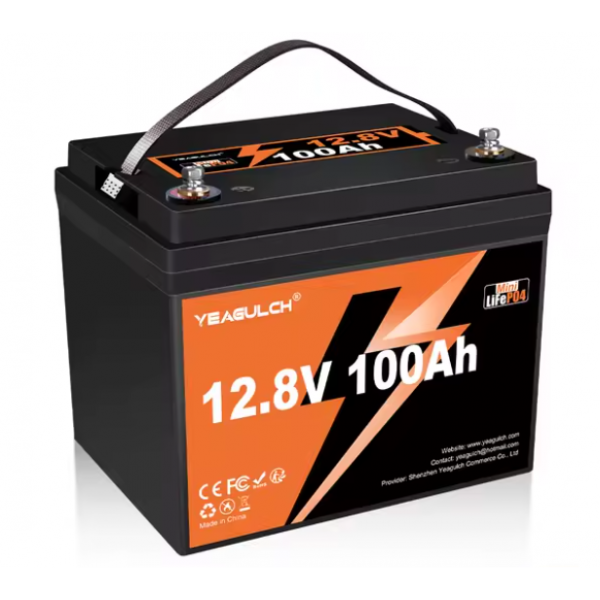 Акумуляторна батарея YEAGULCH Mini LiFePO4 12,8V 100Ah 1280Wh, BMS-100A, (  246 x 187 x 197) , M8, 12.9kg Q1