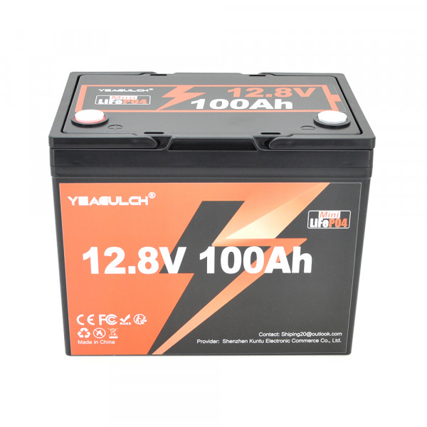 Акумуляторна батарея YEAGULCH Mini LiFePO4 12,8V 100Ah 1280Wh, BMS-100A, (  246 x 187 x 197) , M8, 12.9kg Q1