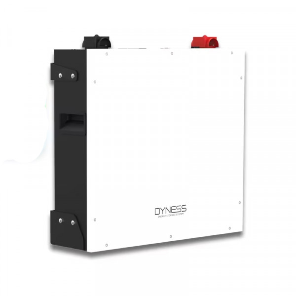Акумуляторна батарея Dyness DL5.0C-H з підігрівом, 51.2В/100Ач (5.12 кВт•год), 54 кг, 558х545х150 мм