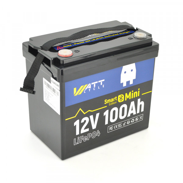 Аккумуляторная батарея WattCycle LiFePO4 WT12V100AH100MINIBT Bluetooth 12,8V 100Ah, 1,28kWh, BMS50A@4S, 6000 cycles, 229x138x208, 9.5kg