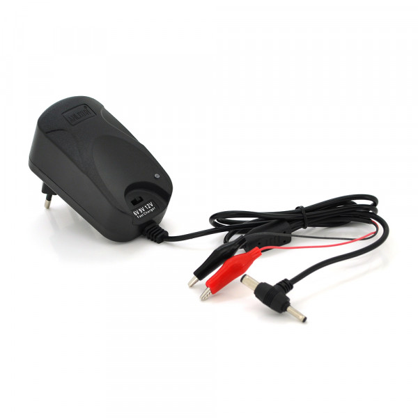 Автоматичний ЗП для акумулятора 6V/9V/12V,100-240V,2A, роз'єм живлення DC(5,5*2,5/2,5*0,7),клеми(AGM/GEL/Lead)